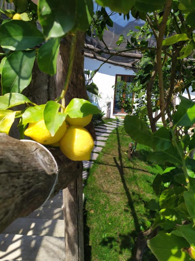 Casa Mia Villa Скала Екстериор снимка