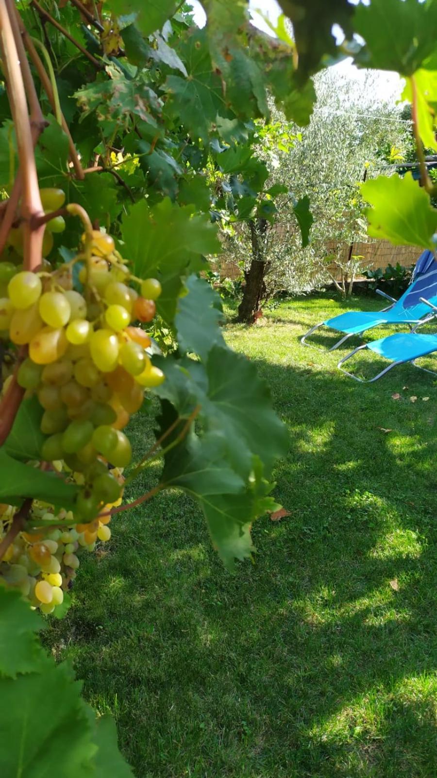Casa Mia Villa Скала Екстериор снимка