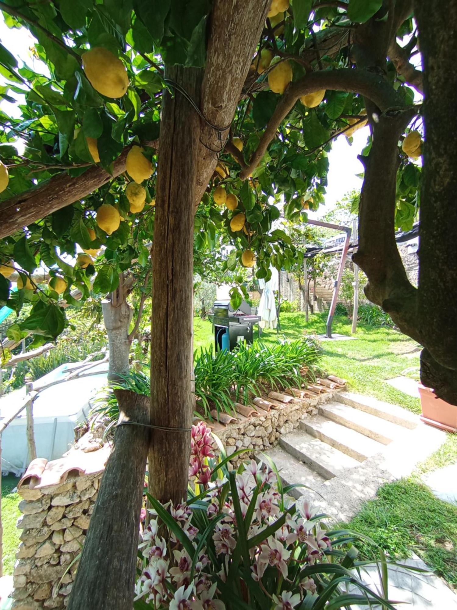 Casa Mia Villa Скала Екстериор снимка
