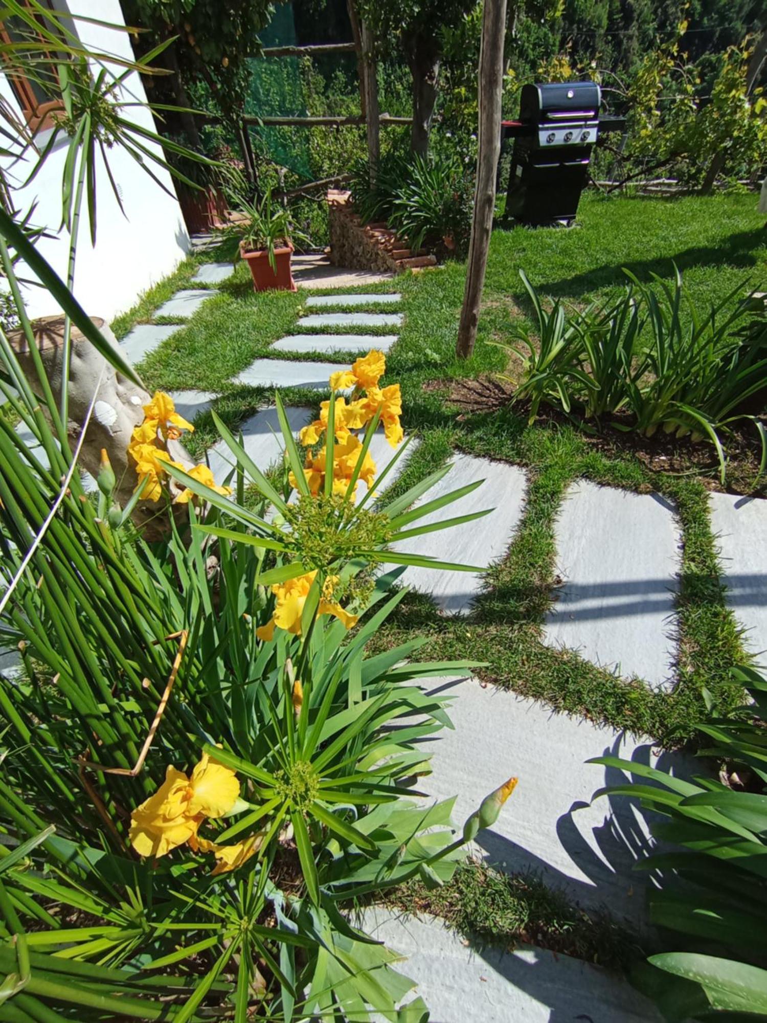 Casa Mia Villa Скала Екстериор снимка