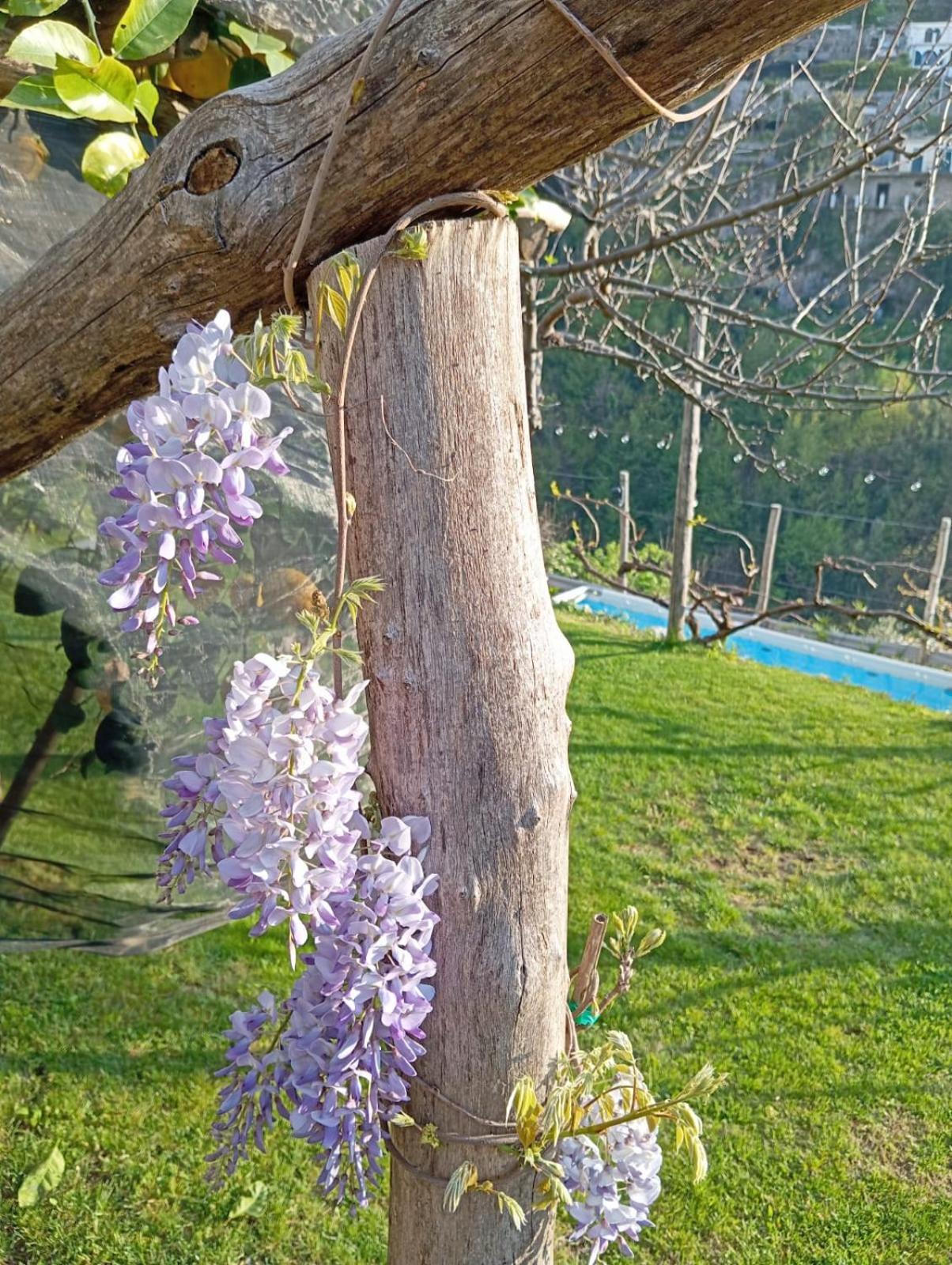 Casa Mia Villa Скала Екстериор снимка